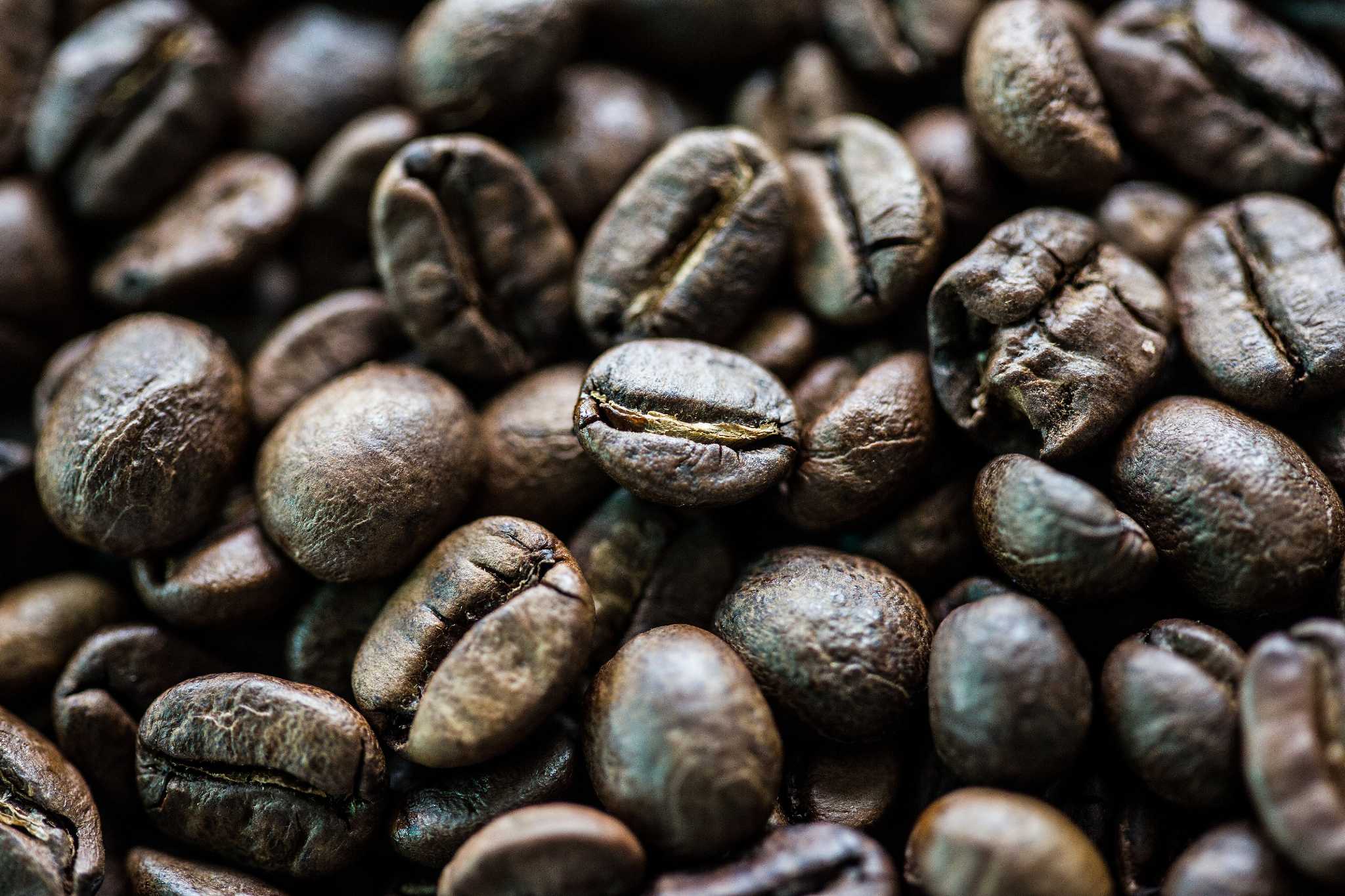Report says your coffee is full of insect fragments SFGate