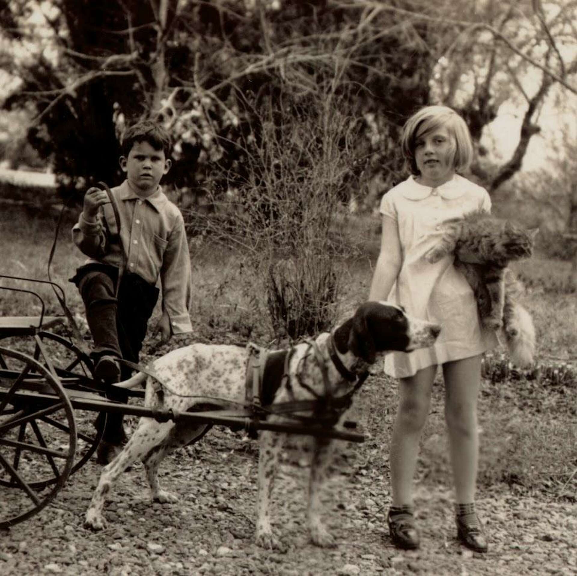 New book peeks inside life at famed King Ranch