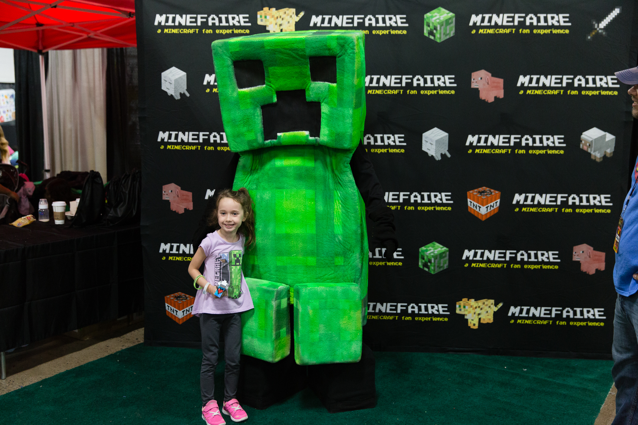 Minefaire - The Ultimate Minecraft Fan Experience - (COMP), Los