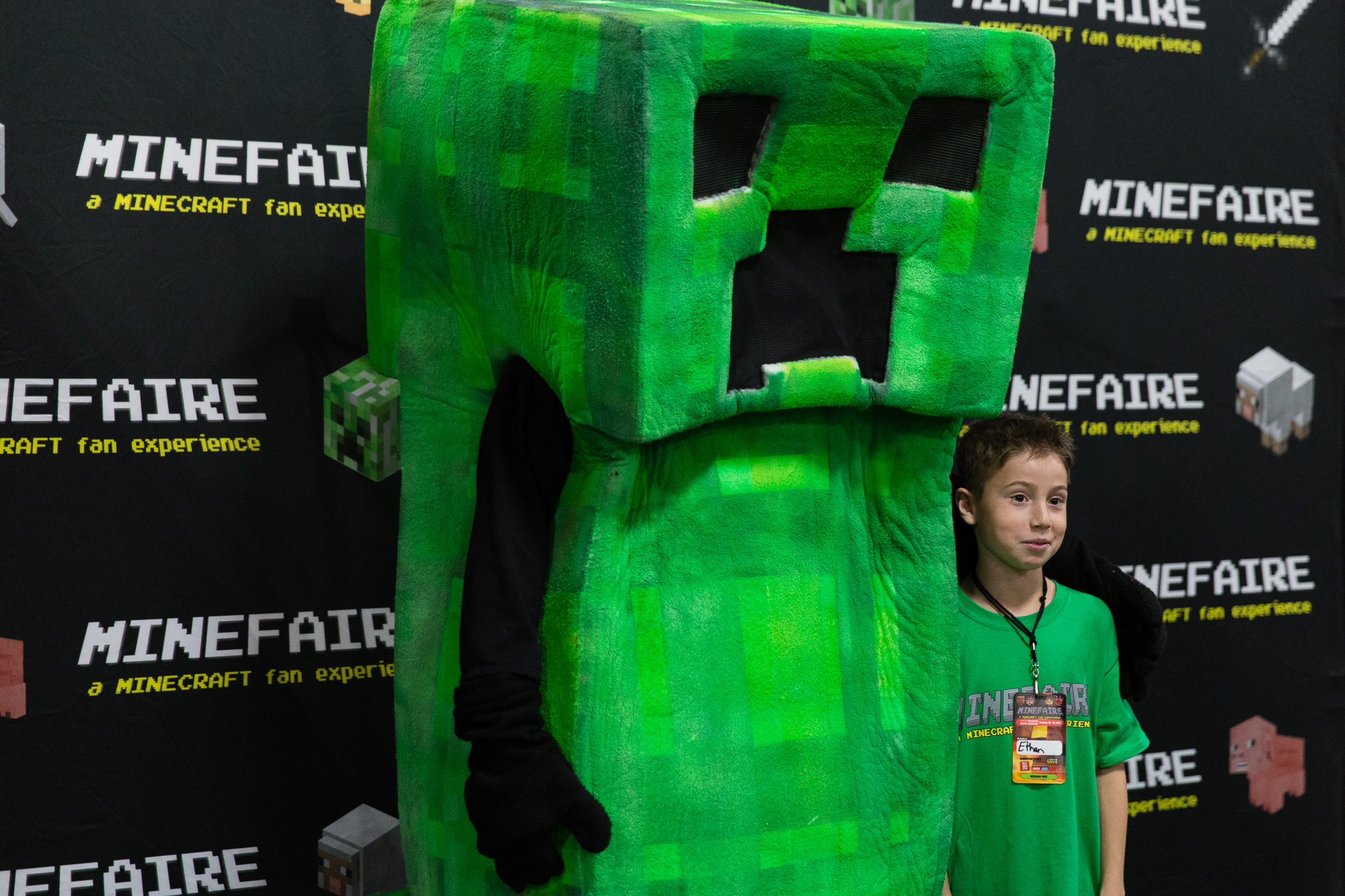 Minefaire - The Ultimate Minecraft Fan Experience - (COMP), Los