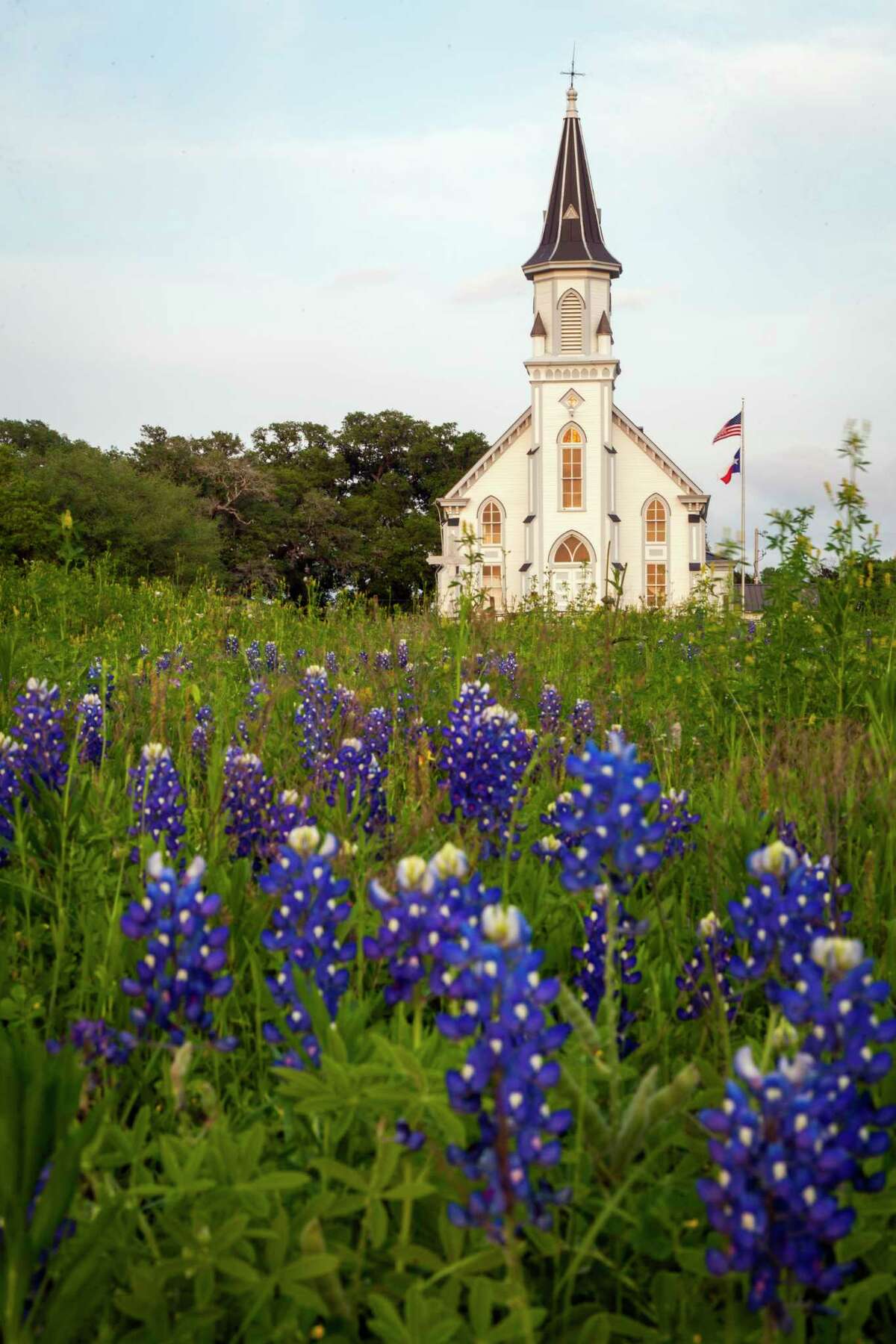 Sts. Cyril and Methodius Church rises over a field of bluebonnets on Thursday, March 29, 2012, in Dubina, Texas. ( Smiley N. Pool / Houston Chronicle )
