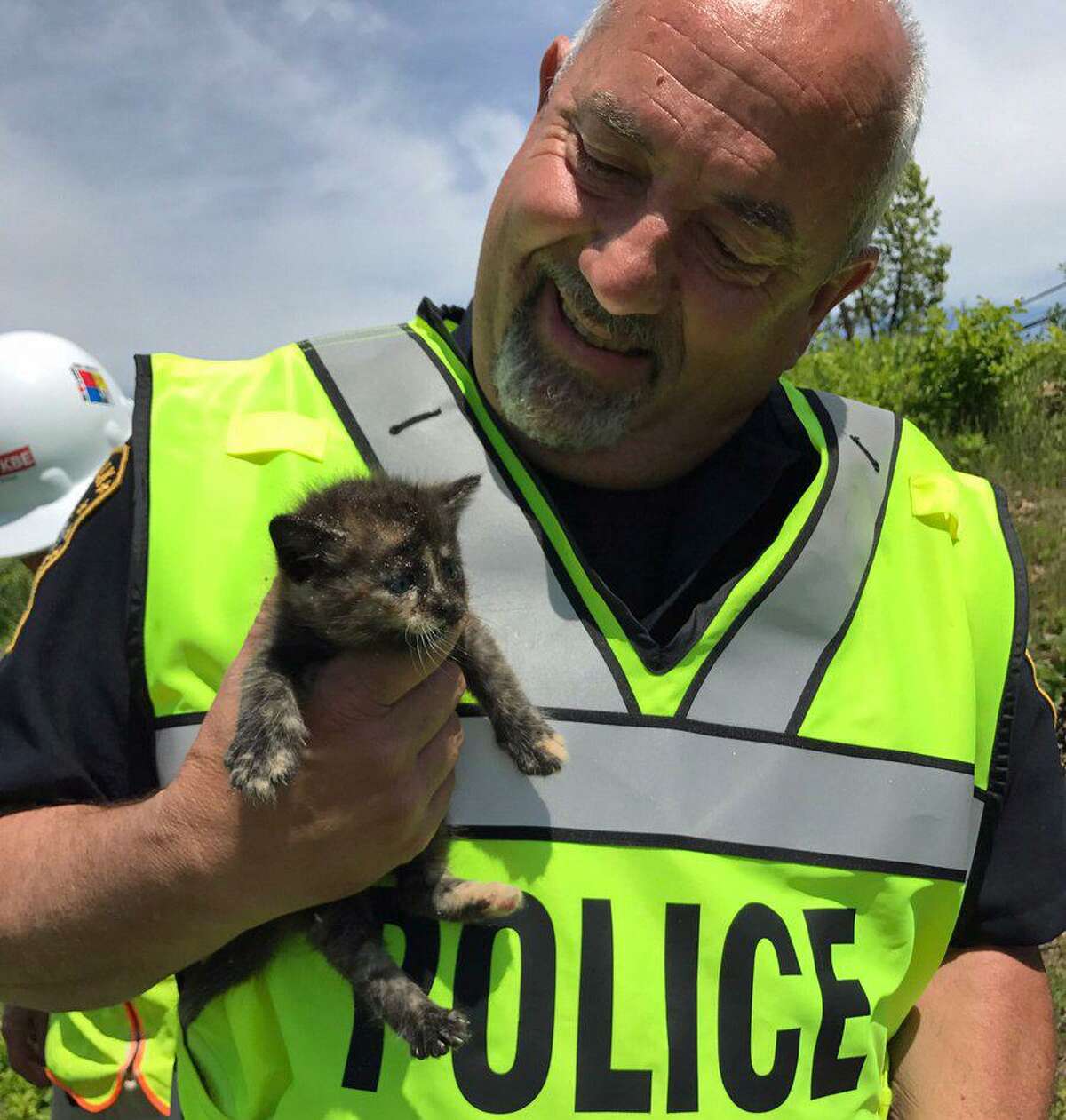 Norwalk Police Department Officer Russell Oullette one of three abandoned kittens that he rescued from a construction site on Reed Street on Tuesday, May 16, 2017. “The kittens were in harm’s way of the large construction vehicles at the site. The kittens were turned over to animal rescue and are in good condition,” Norwalk police posted on their Facebook page.