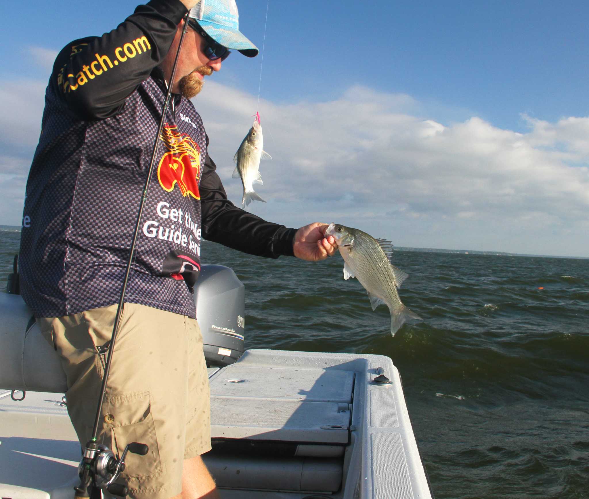 White bass thriving in Lake Livingston, but trick is to find them