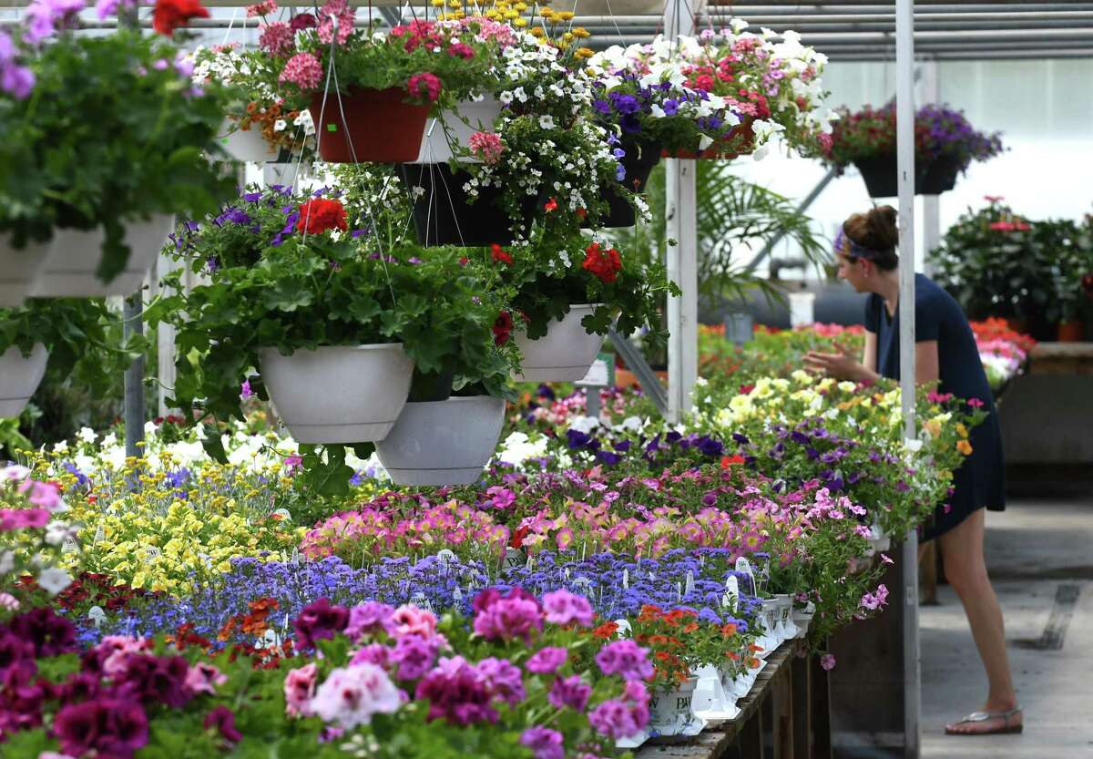 Decorative flowers are displayed at George's Market and Cafe on Thursday, May 18, 2017, on Watervliet Shaker Road in Colonie, N.Y.