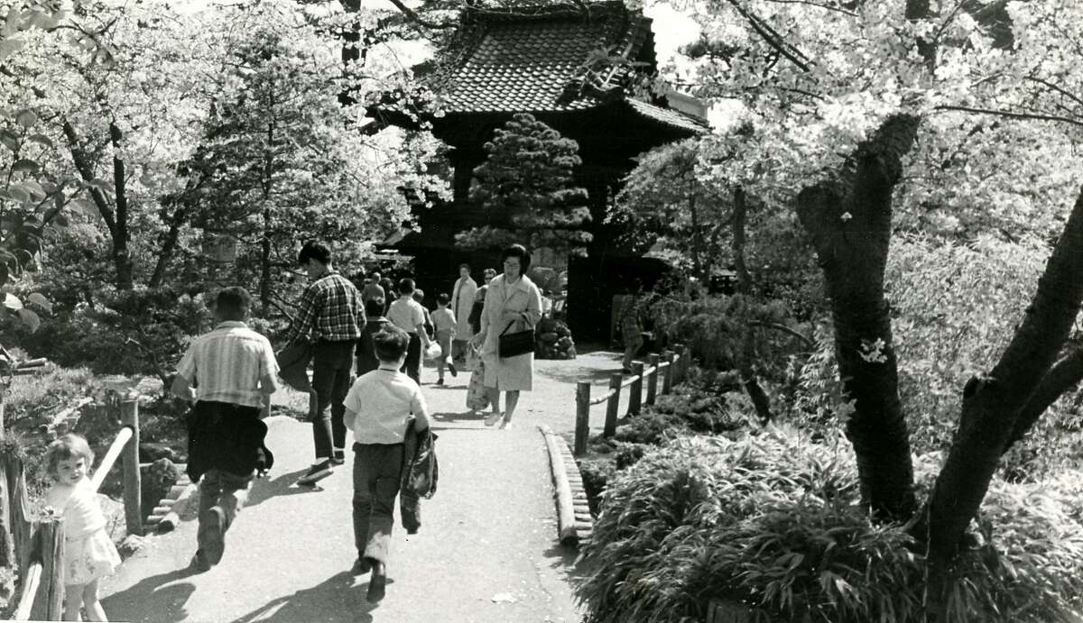 San Francisco Golden Gate Park Japanese Tea Garden. March 31, 1966