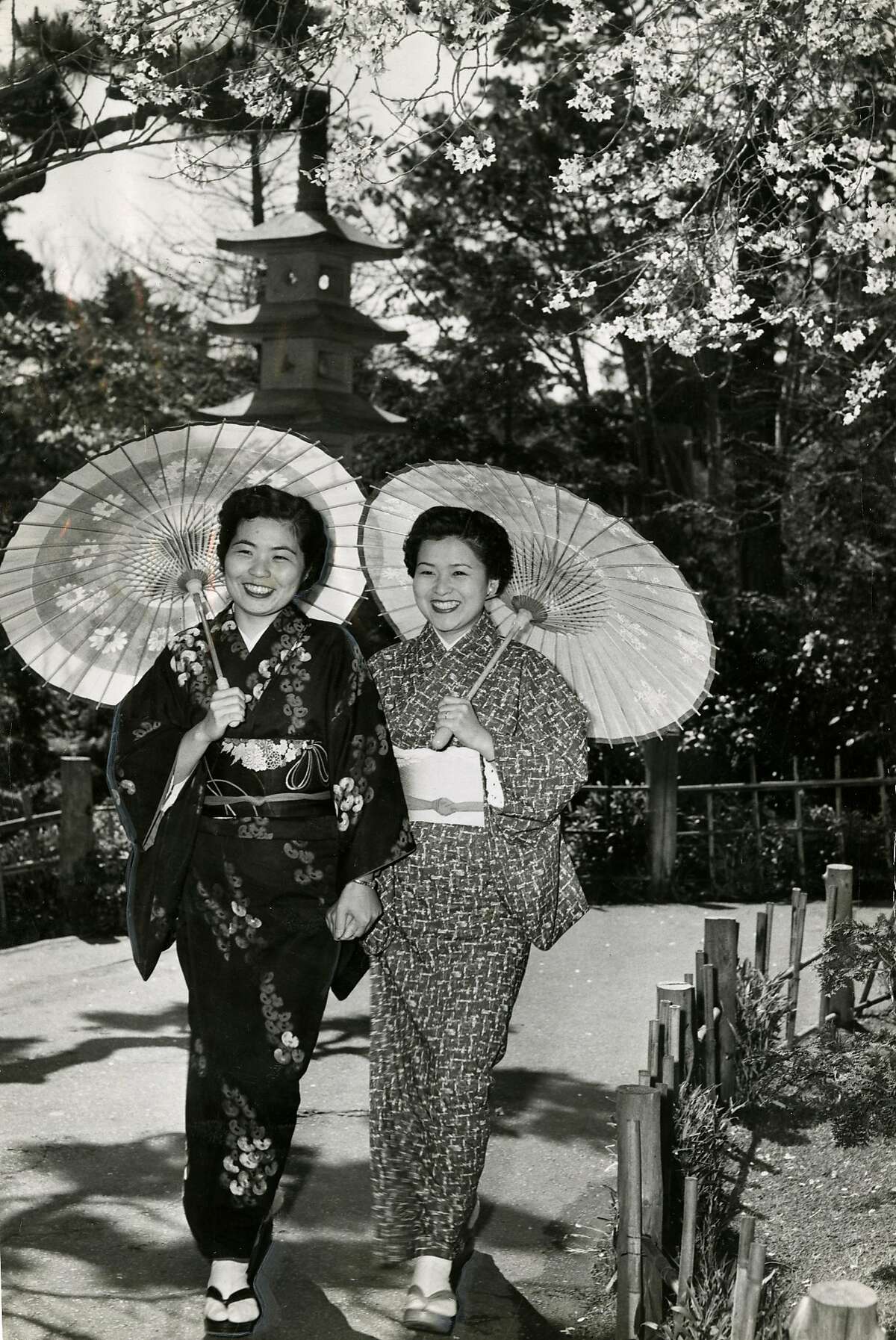 San Francisco Golden Gate Park Japanese Tea Garden. Cherry blossom time. Sayoko Lombard, left, and Fusae Fleming, members of the garden staff. March 26, 1956