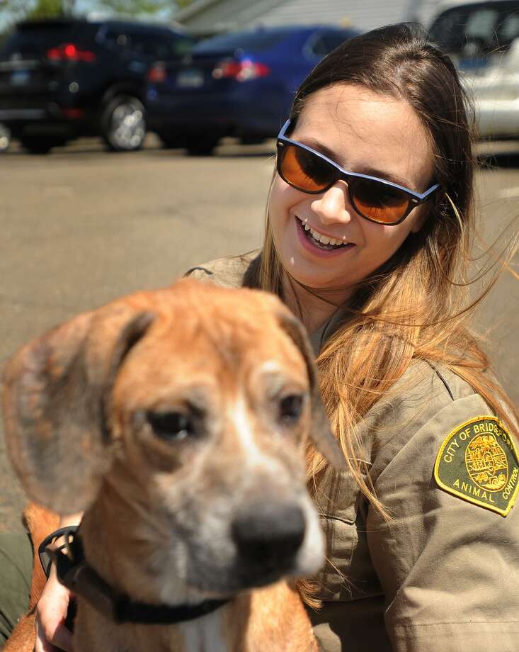 bridgeport animal shelter