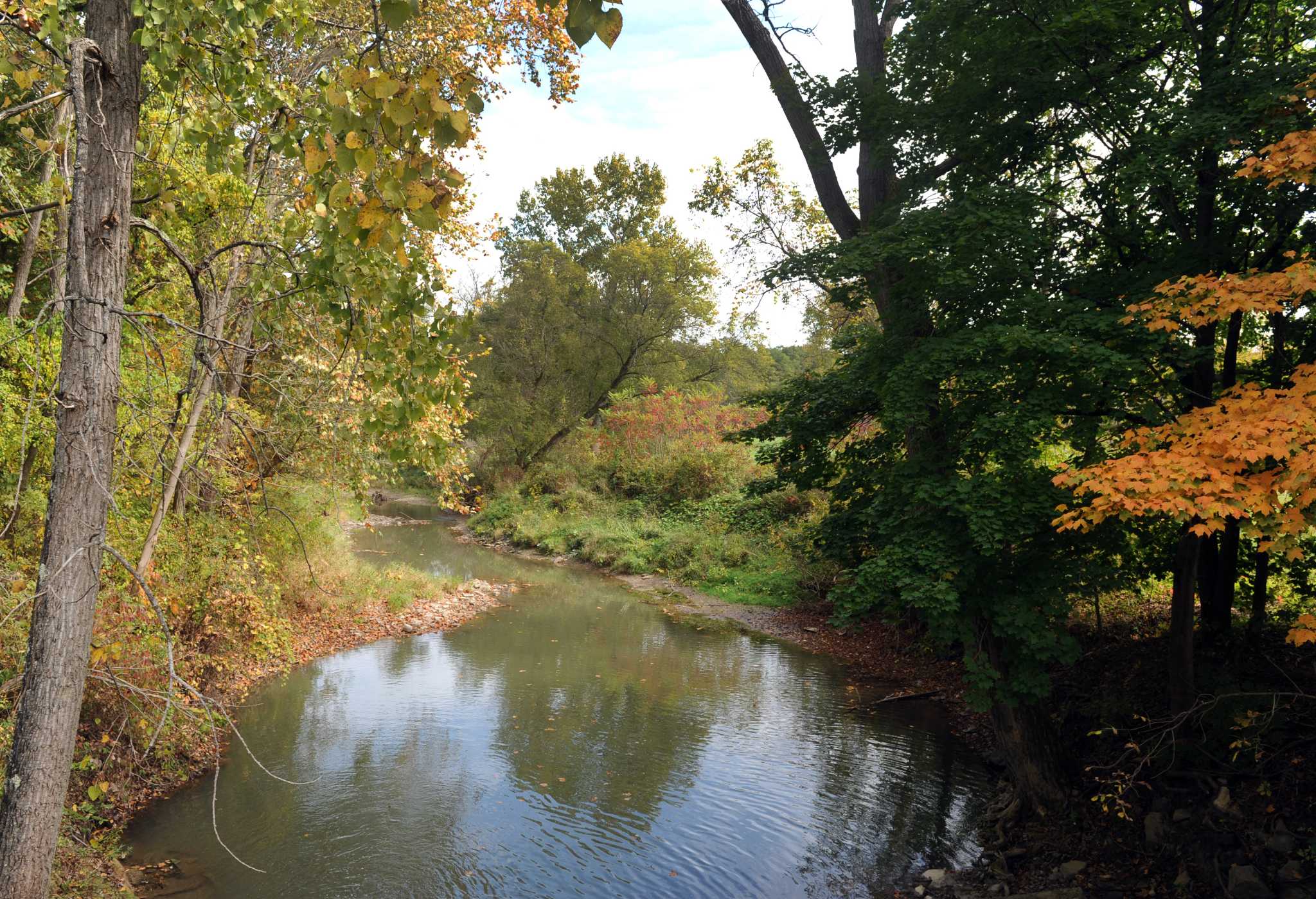 Exclusive Albany may sell Coeymans land once eyed for landfill