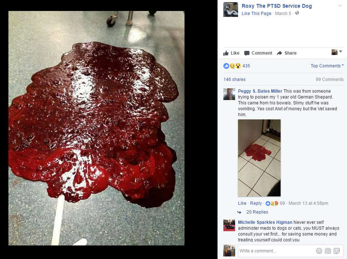 Dogs and Ibuprofen a dangerous mix, as heartbreaking social media post shows