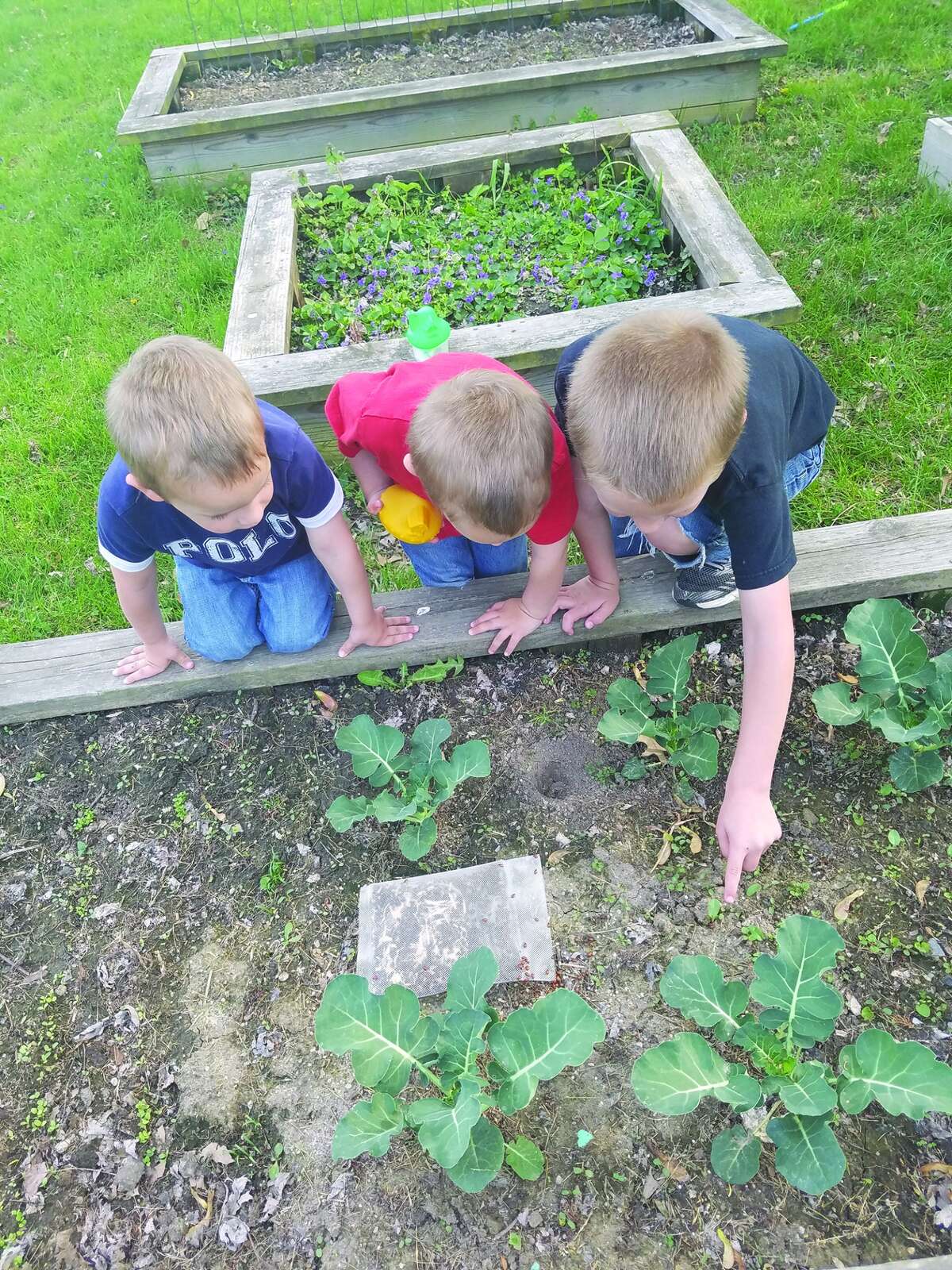 The Schwent children in the family vegetable garden.