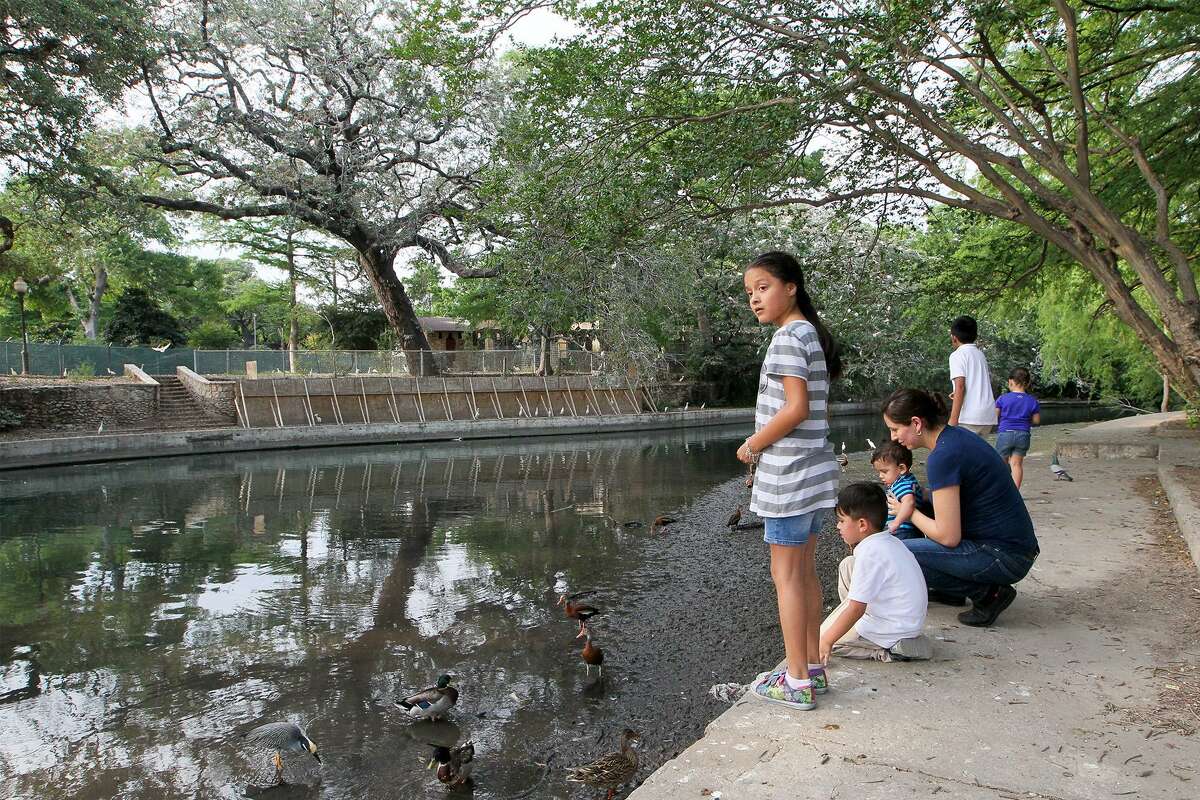 Brackenridge Park visitors feed the ducks in 2017. With all that’s being done to deter birds from the park, a reader asks what is a park with no birds?