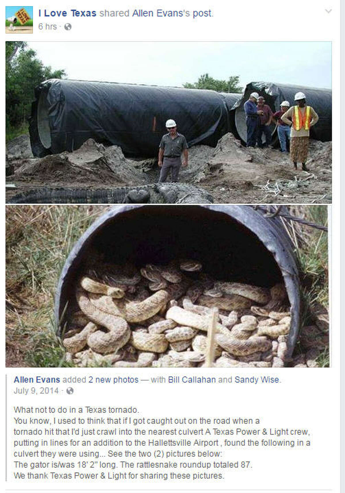 Photos alleging to show a giant rattlesnake den and a monster gator inside a Texas culvert, or drain pipe, are making the rounds among Texas Facebook users thanks to a post by I Love Texas. 
