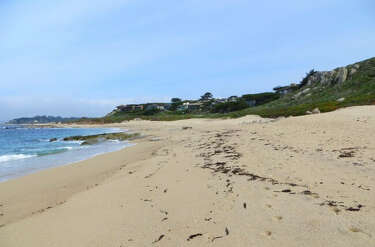 Life On A Nude Beach - The history of nudity in San Francisco uncovered ...