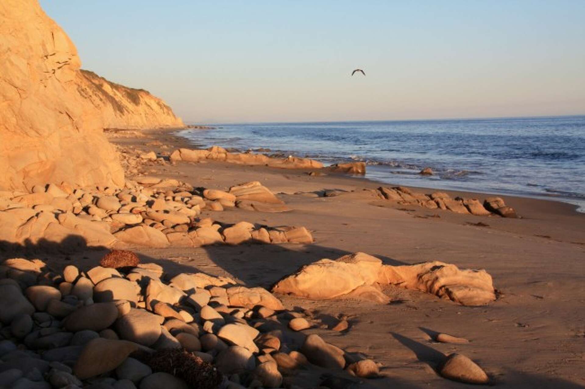 Nude Beaches On The California Coast From Top To Bottomless 