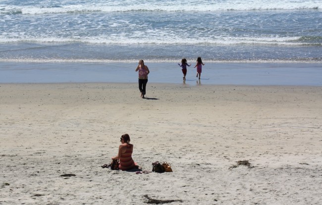 Nude beaches on the California coast from top to bottom less