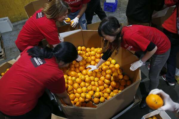 Q A With S F Marin Food Bank Director Paul Ash Sfchronicle Com
