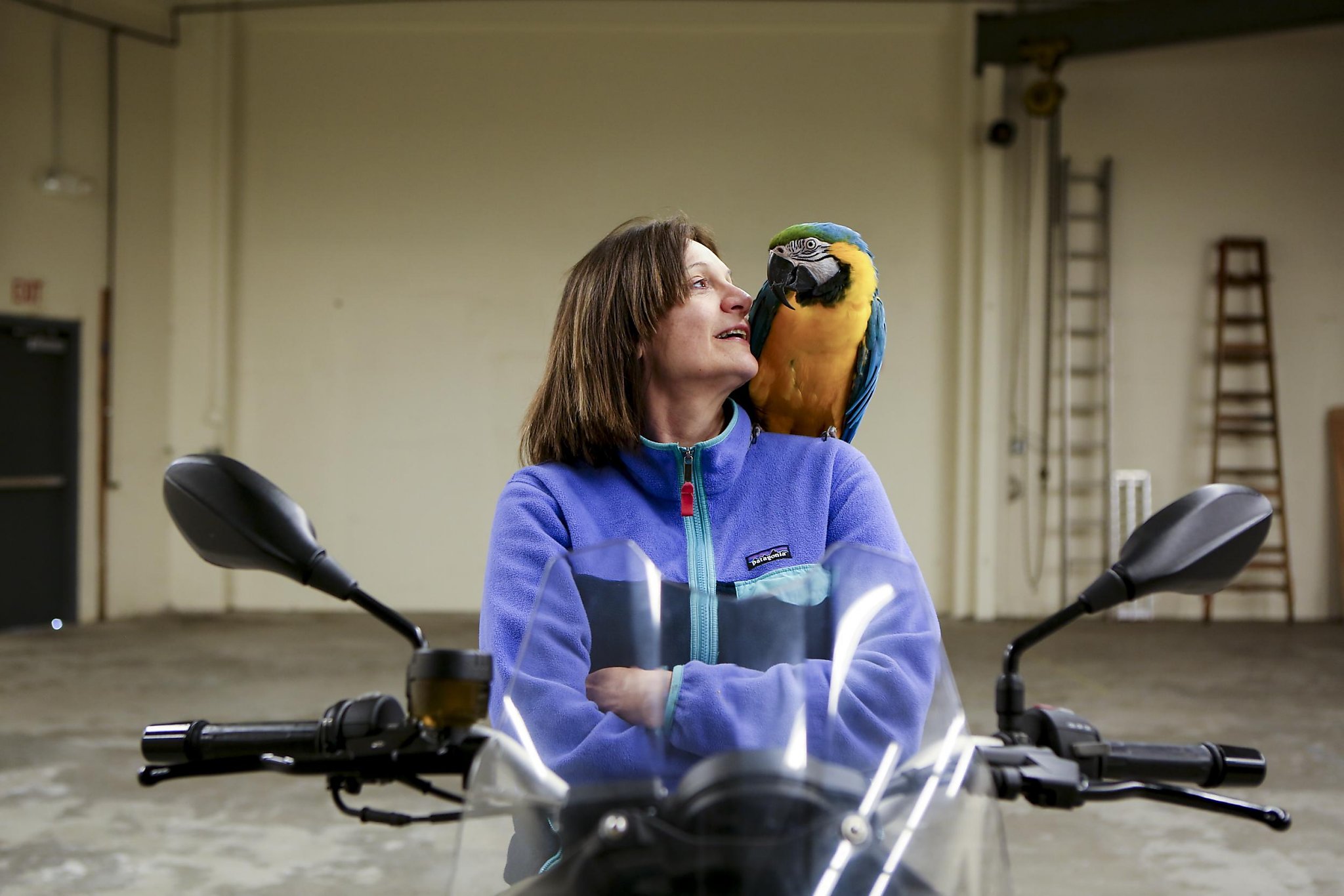 The Regulars S.F. Bird Hotel owner finds freedom in creating her business