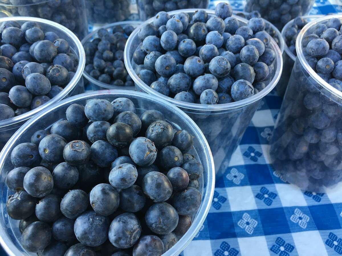 Blueberries from Triple Delight Blueberries' stall at the Ferry Plaza Farmers Market.