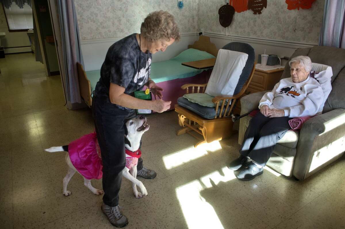 Jean Thompson of Sanford shows Brittany Manor resident Nina McGraw part of her Jack Russell-Labrador mix Shelia's dance routine during their weekly visit at Brittany Manor November 4, 2016. Thompson brings Shelia to visit residents at Brittany Manor every Friday and Brookdale every other Tuesday.
