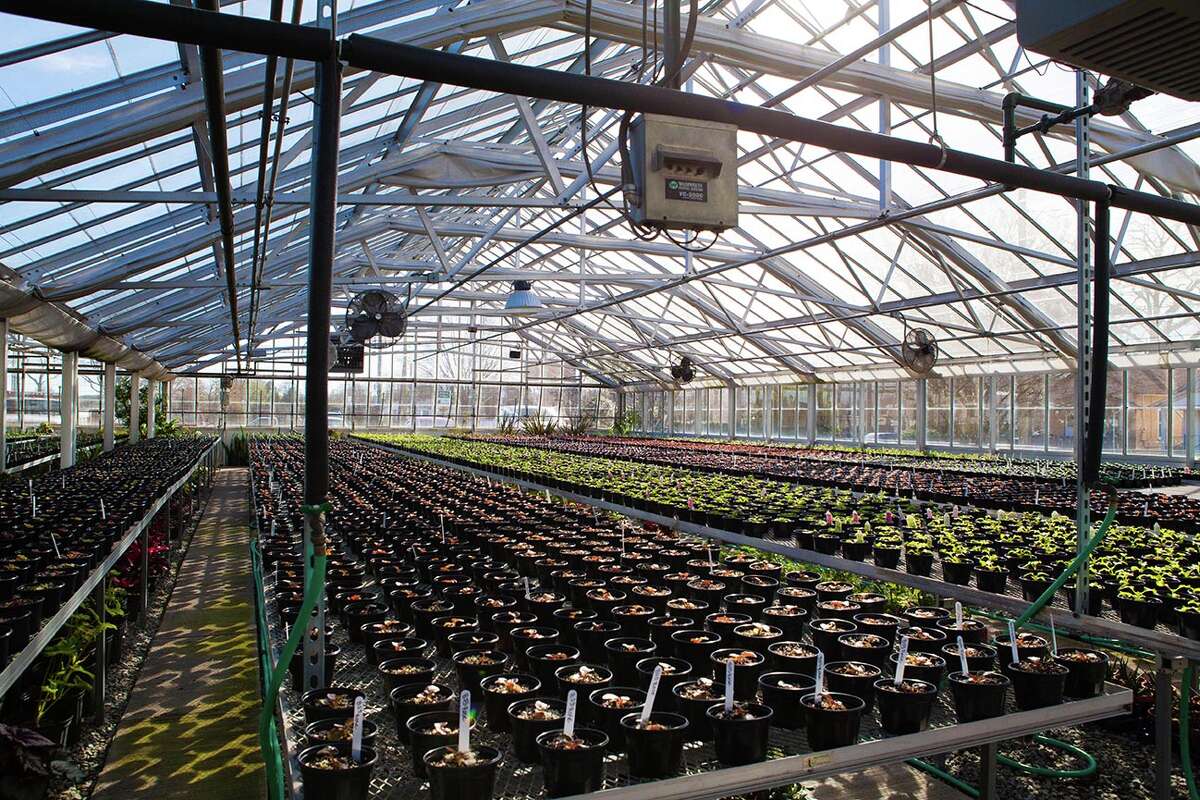 A view inside the Kentucky Derby Museum's greenhouse.