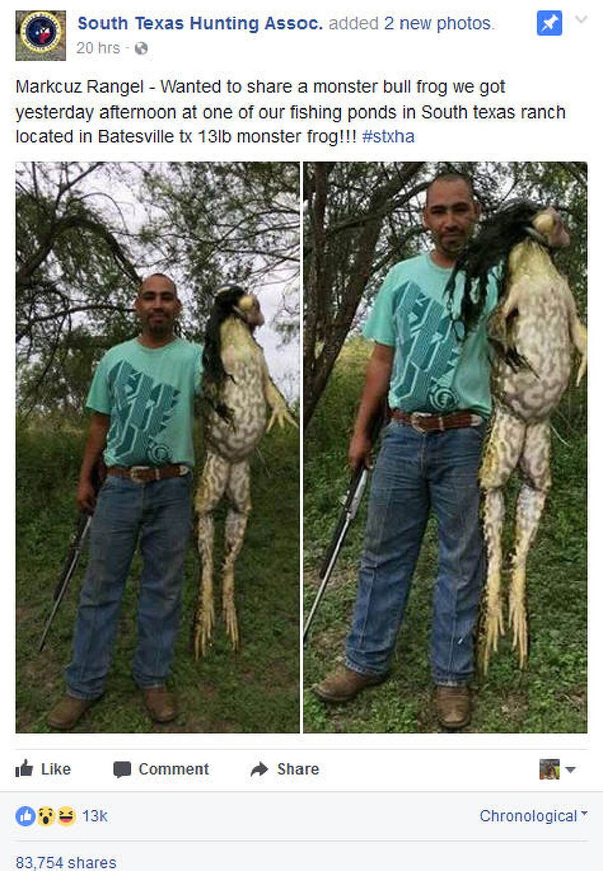 Giant Texas bullfrog photo is real but don't be fooled by what you see