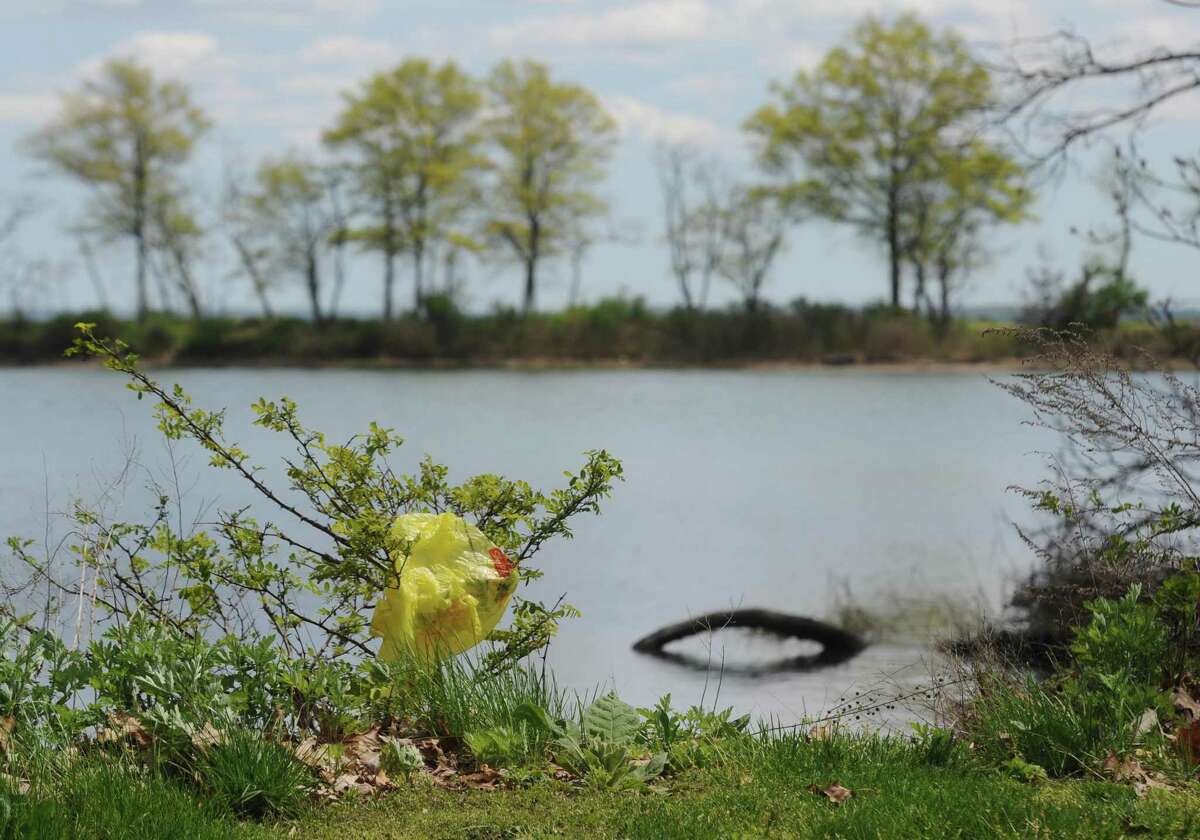 A plastic bag is trapped in a bush at Greenwich Point Park in Old Greenwich, Conn. Monday, May 8, 2017.