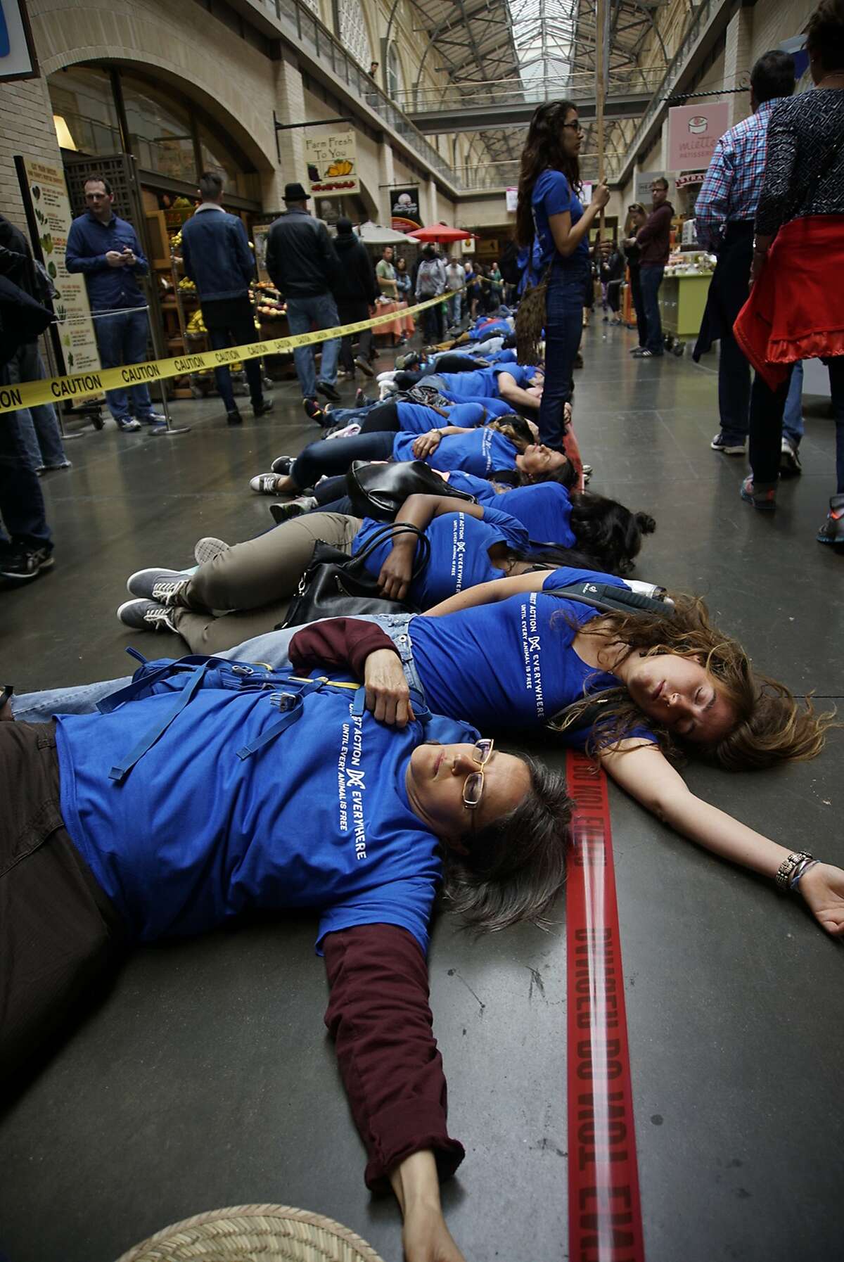 Anita Krajnc (foreground) lay with 350 people of Direct Action Everywhere, spanning the full length of the Ferry Building, in what they describe as a "die-in" on Sunday, May 28 2017 in San Francisco, CA.