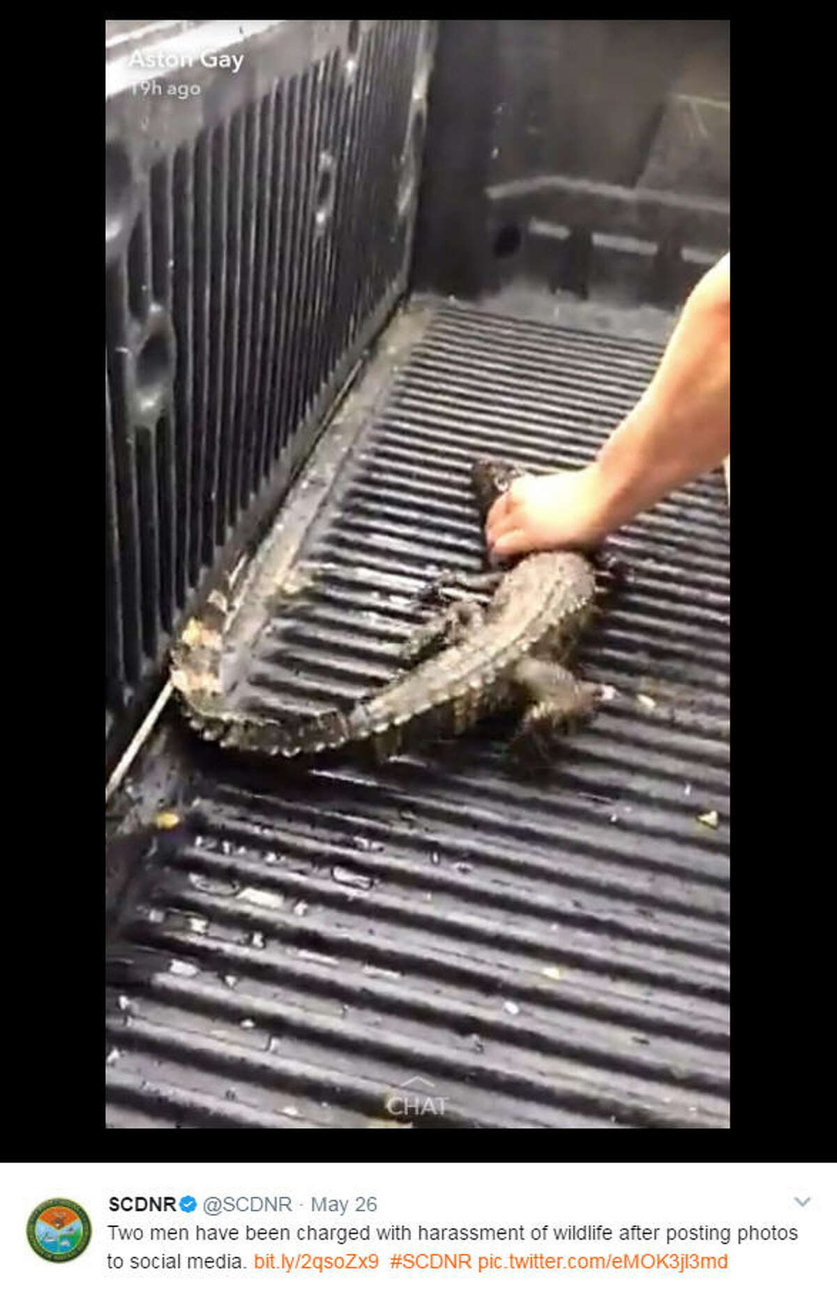Two Men Charged With Forcing Baby Alligator To Chug Beer