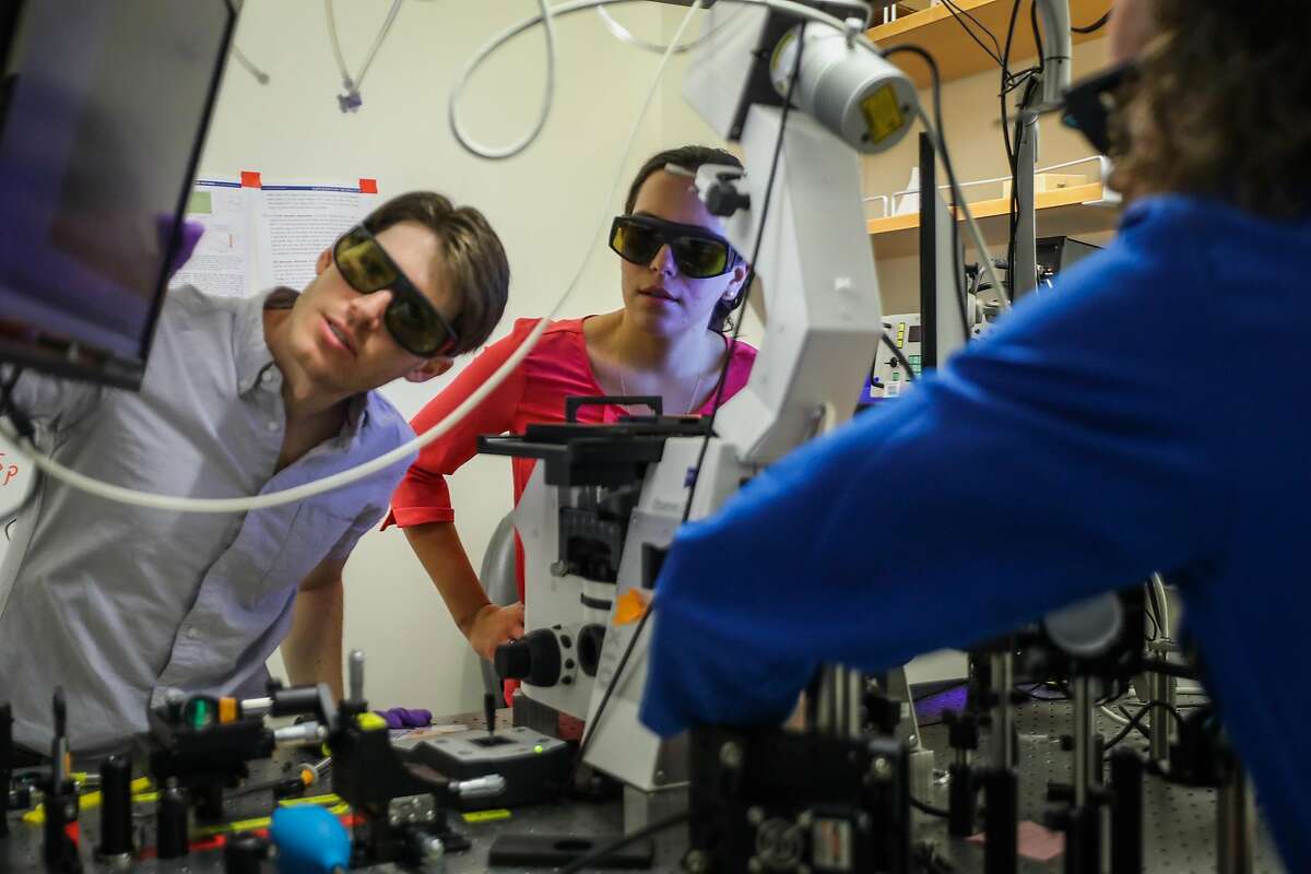 Physics post docs Travis DelBonis O'Donnell (left), Markita Landry (center) and Ian McFarlane work in Landry's lab at UC Berkeley.