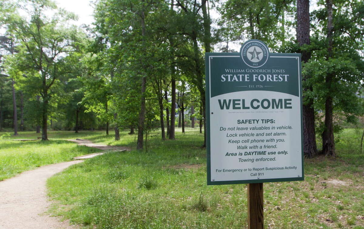 A sign designating the area of William Goodrich Jones State Forest.