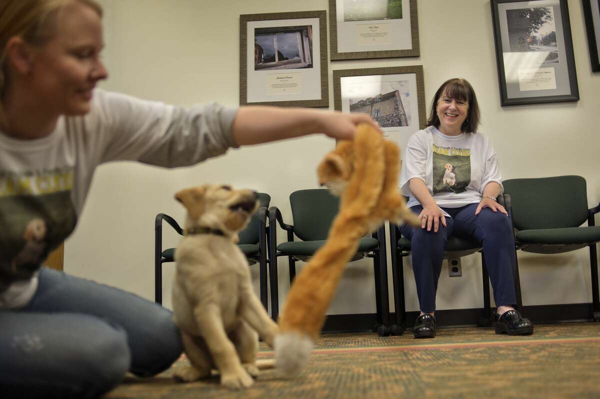 Midland County Probate Court employee Katy Mishler, left, plays with the courthouse's new therapy dog, Clyde, a 8-week-old Labrador as Judge Dorene S. Allen watches Tuesday morning. Judge Allen adopted Clyde to have him help children and adults when they attend court. "It's been proven to help relax people and lower their blood pressure," Judge Allen said.