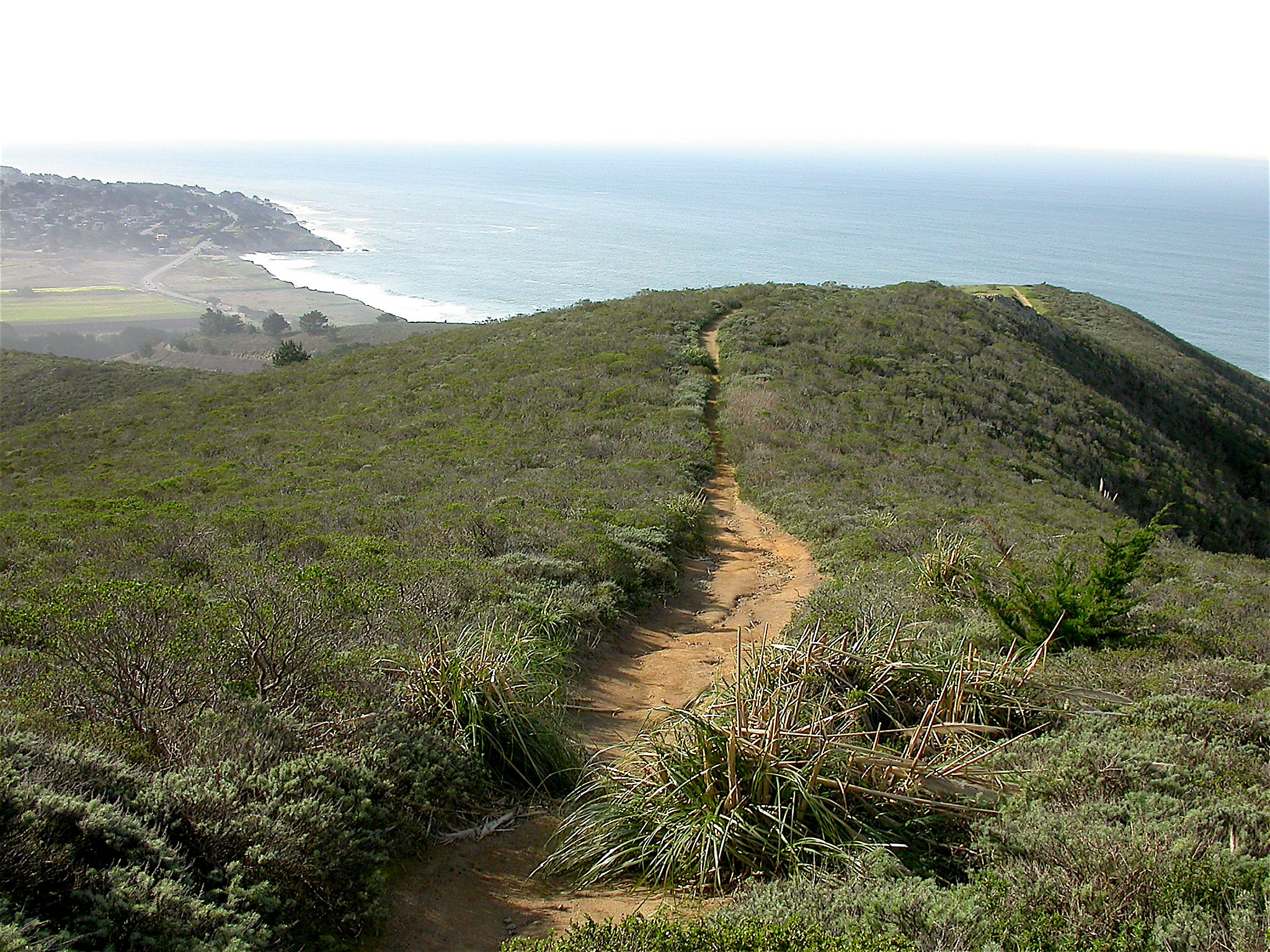 Sunday Getaway Gray Whale Cove a hidden natural gem