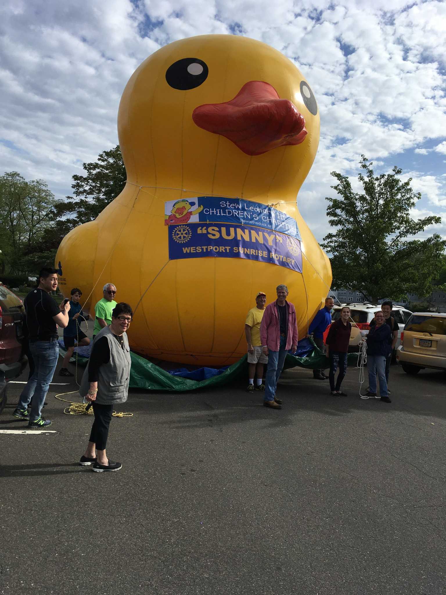 Westport Sunrise Rotary Great Duck Race set for Saturday
