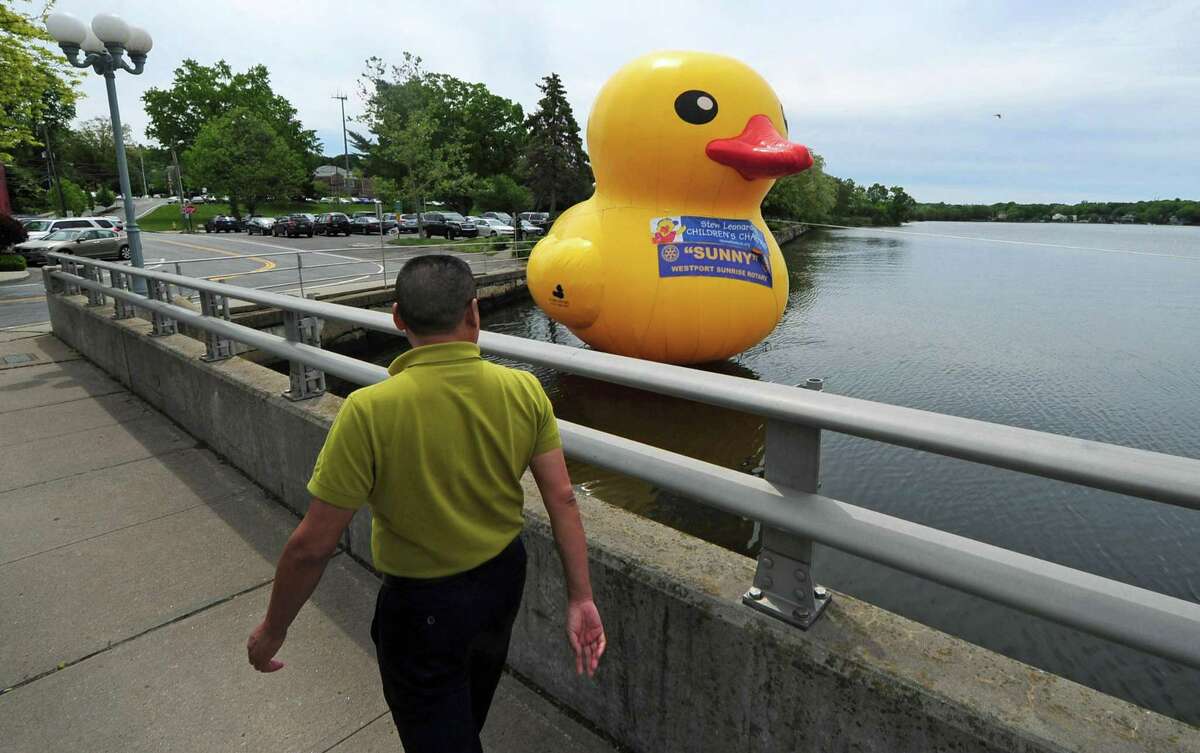 A pedestrian walks by the large inflatable rubber duckie moored in the Saugatuck River on May 23, announcing The Great Duck Race scheduled for June 3 in Westport.