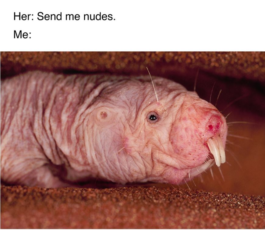 Odd Canadian Campaign Uses Naked Mole Rat To Combat Online Sexual Exploitation Of Teen Boys