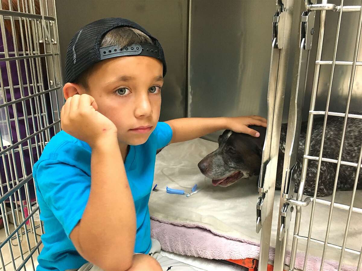 Luca Benedet, 6, with his dog, Duke, that was bit by a rattlesnake last week and survived after getting the anti-venom shot at a vet