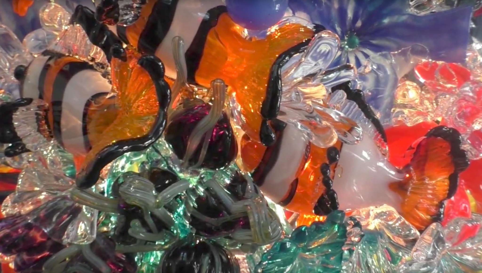 This is S.A. Meet the creator of San Antonio's most famous glass shop