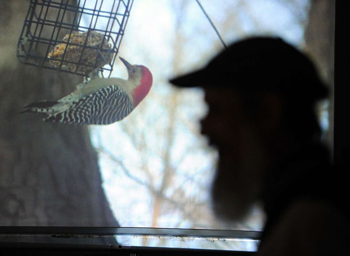 Bird expert Ted Gilman, right, discusses the habits of the red-bellied woodpecker while projecting an image of the bird onto a screen during the family-friendly bird count program at Audubon Greenwicha few winters ago.