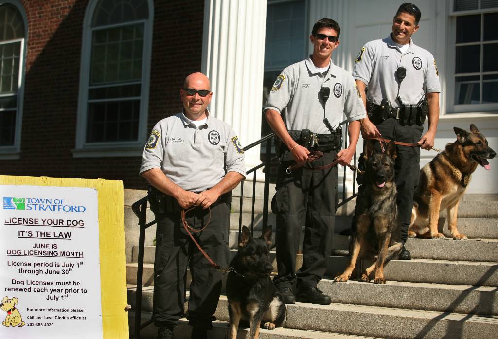 can a police officer take your dog