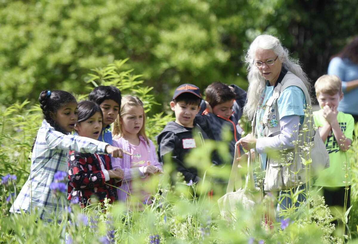 International School at Dundee first-graders look for insect species with volunteer Teacher Naturalist Camille Broderick on a class trip to Audubon Greenwich in Greenwich, Conn. Wednesday, June 7, 2017.