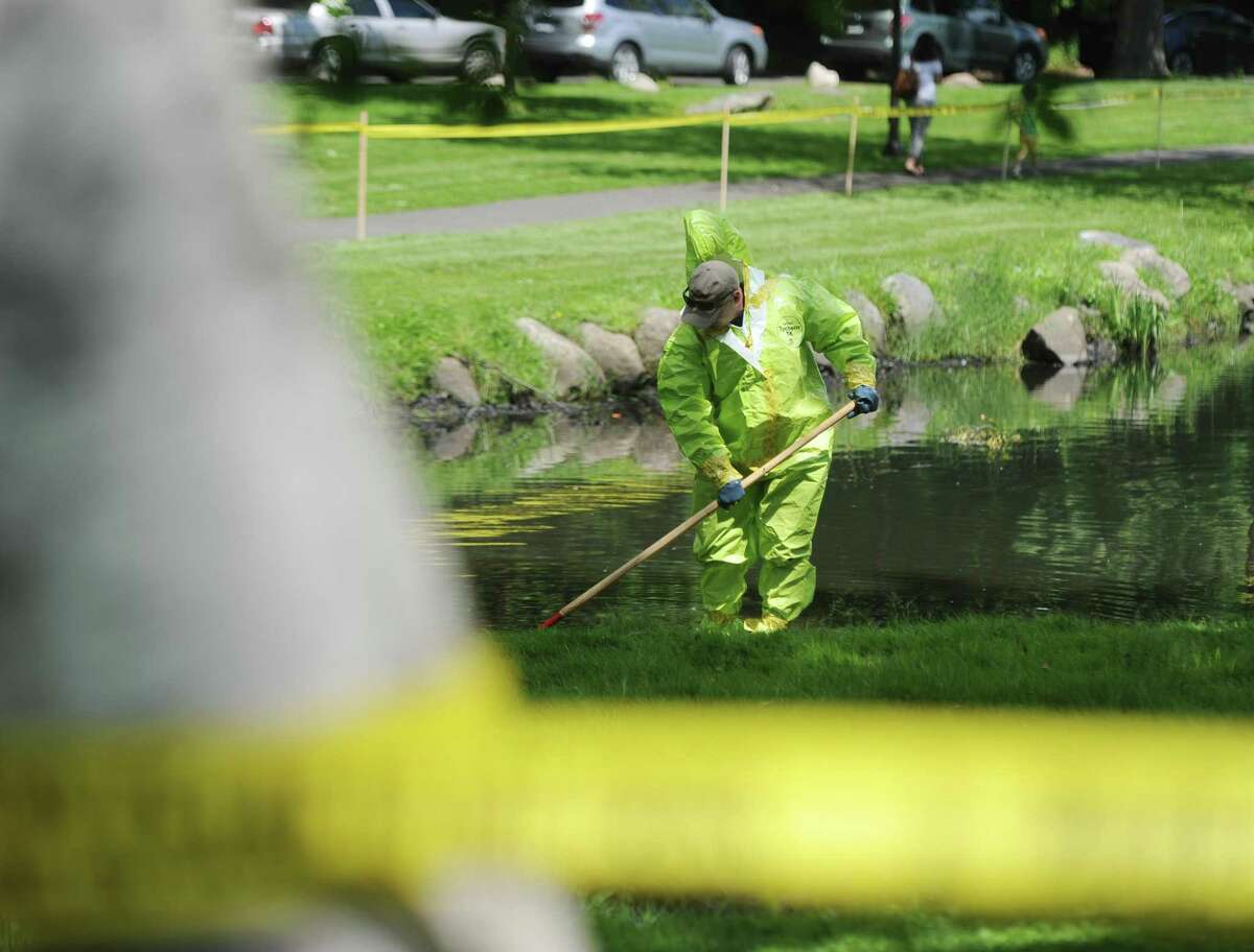 Investigators continue the investigation of found human remains by sweeping Binney Park in Old Greenwich, Conn. Thursday, June 8, 2017. Decomposed human remains were found in April at Helen Binney Kitchel Natural Park, located caddycorner to Binney Park and connected by a stream. The Connecticut State Police drive team, Greenwich police and the state D.E.E.P. searched the tidal areas of Binney Park for additional material on Thursday.