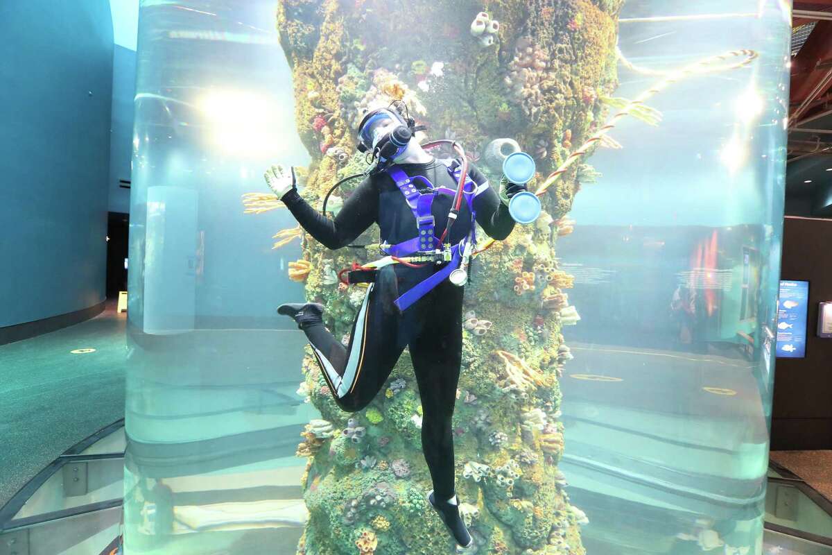 Moody Gardens Biologist / Diver Kaitlin Buhler talks inside a 30,00 gallon, 2 story saltwater tank in the newly renovated Aquarium Pyramid following a $37 million renovation Thursday, May 18, 2017, in Galveston. Media had the opportunity to experience the new Gulf of Mexico Oil Rig Exhibit complete with an in-tank diver presentation and Q&A session featuring a new diver communication system. They also viewed the Humboldt Penguin Exhibit, Flower Garden Banks Exhibit and the Caribbean Exhibit in this final sneak peak of the Aquarium Pyramid before its public grand reveal on May 27. ( Steve Gonzales / Houston Chronicle )