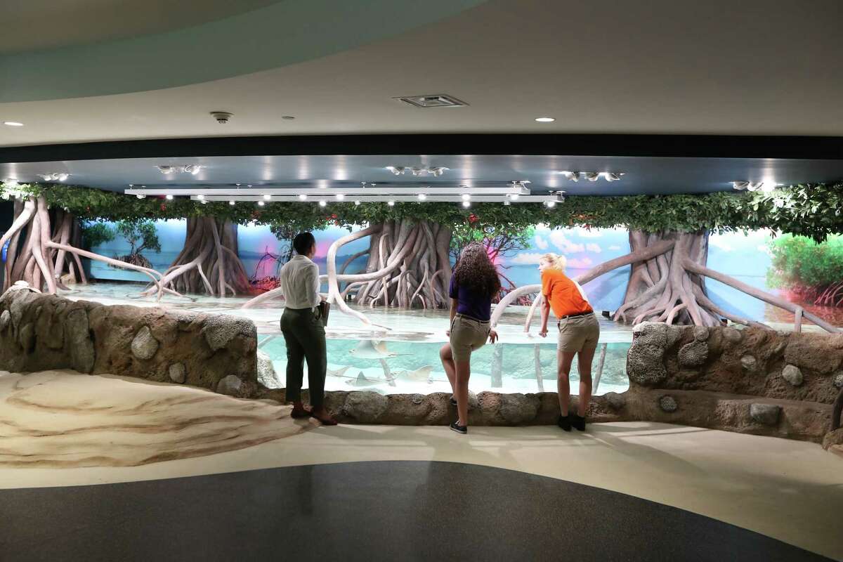 Renovated Aquarium Pyramid at Moody Gardens brings sea change to Galveston