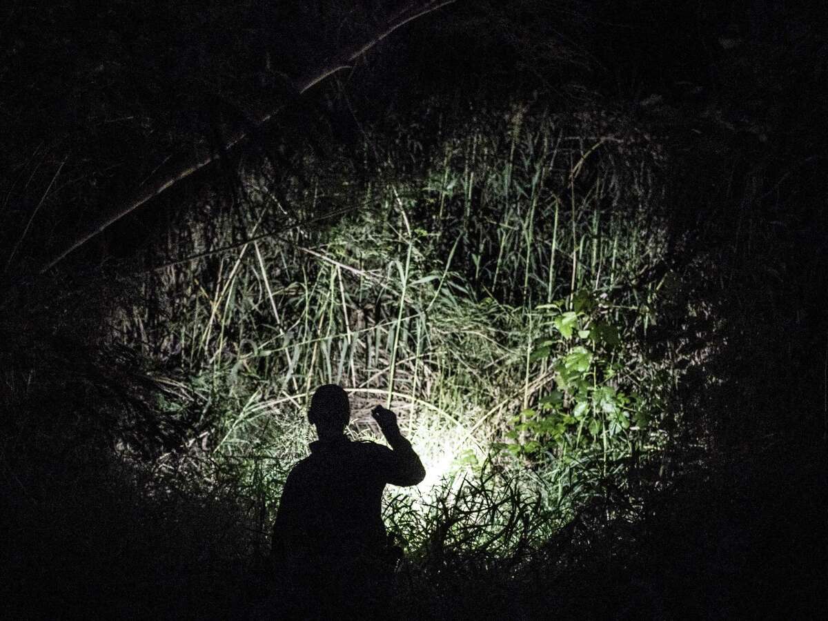 A Border Patrol agent searches for people who may be hiding in brush along the Rio Grande near Laredo.