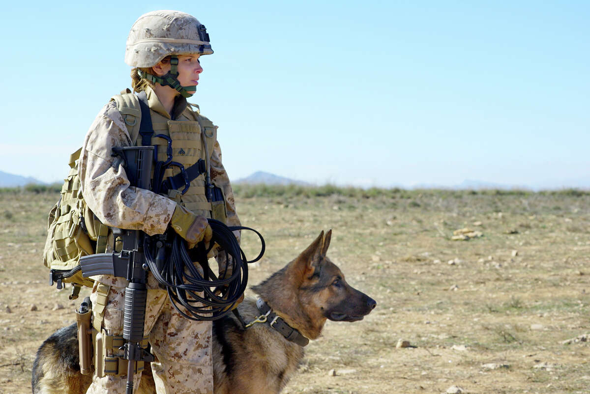 'Megan Leavey' gets stronger later