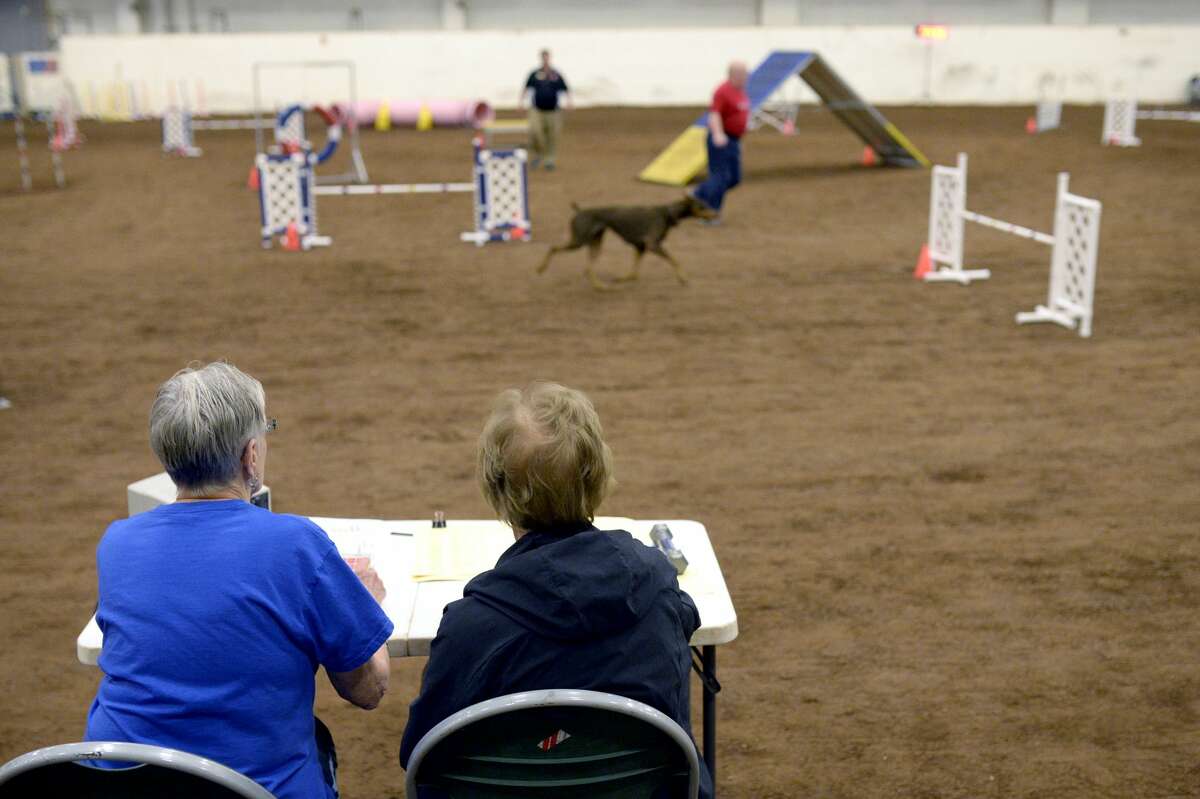 American Kennel Club agility trials