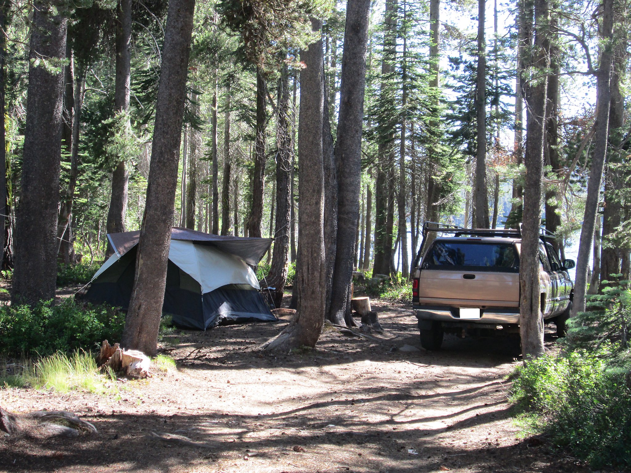Escape to Montana's Magic: Fourth of July Campground