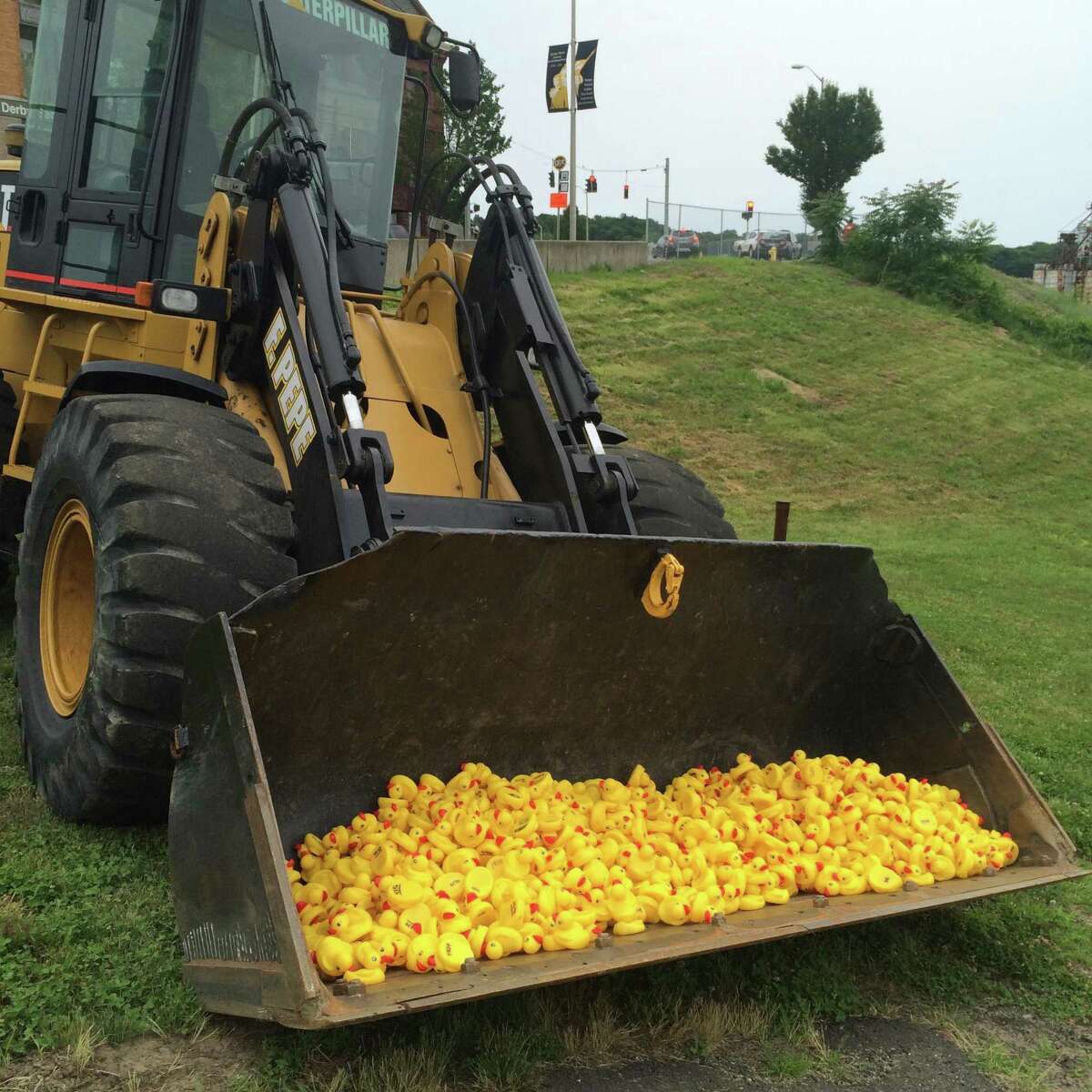 The Housy River Duck Race takes place on Saturday, June 24 at 2 p.m. starting at the Derby/Shelton Bridge on the Housatonic River. Photo courtesy of Area Congregations Together Spooner House.