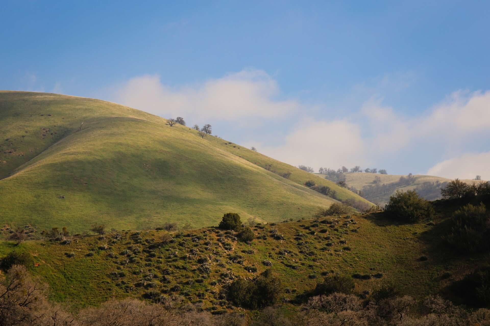 A sixfigure salary is considered 'low in San Francisco, and