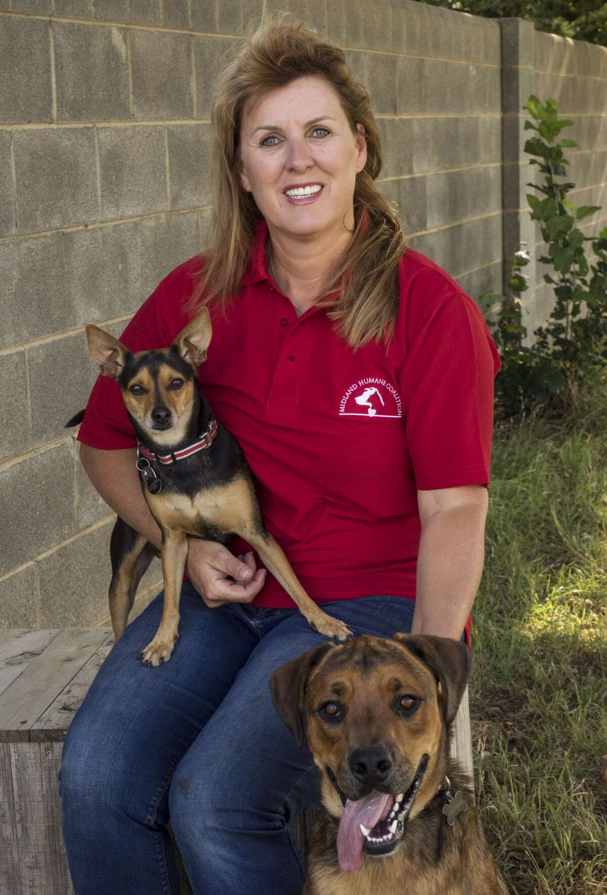 52 Faces Kelly L. Wright, Midland Humane Coalition